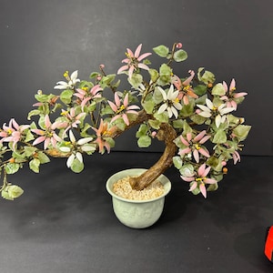Op de afbeelding: Een decoratieve bonsai-boom met een gebogen bruine stam en delicate takken. De boom heeft lichtgroene bladeren en trossen roze en witte bloemen met gele centra. Hij is geplant in een lichtgroene keramische pot gevuld met kleine kiezelstenen.