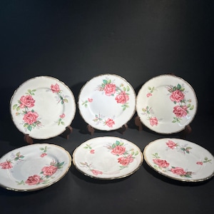 Può includere: Sei piatti in ceramica bianca con un motivo floreale di rose rosa e bordi dorati. I piatti sono disposti su una superficie scura, mettendo in risalto il loro motivo decorativo. I piatti hanno bordi smerlati.