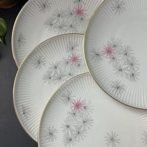 Könnte beinhalten: Ein Satz von vier weißen Keramikplatten mit goldenem Rand. Jede Platte hat ein radial strukturiertes Design und ein Muster aus grauen Sternen mit rosa Akzenten. Die Teller sind auf einer dunklen Oberfläche angeordnet.