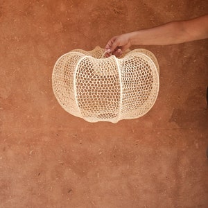 raffia pendant light , hanging lamp shade in raffia