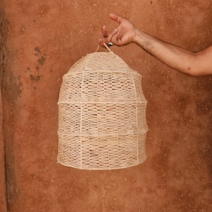 raffia pendant light , hanging lamp shade in raffia