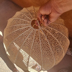May include: A large, round, woven lampshade made of natural fibres. The lampshade is beige and has a delicate, intricate pattern.