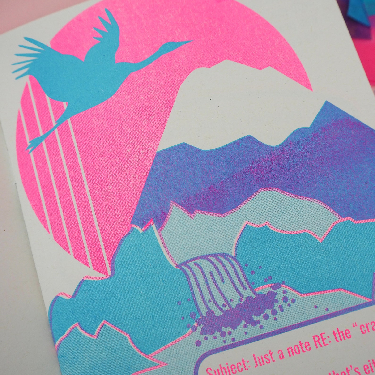 Thanks Random Man Your Opinion is Noted Riso Printed Zine Etsy