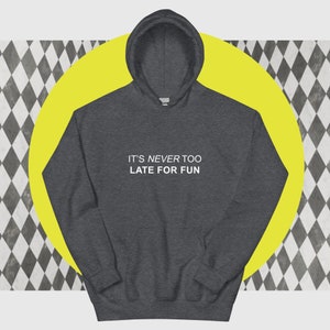It's Never Too Late For Fun Gift for Friends, Weird Gifts Funny Hoodie, Funny Meme Hoodie, Meme Hoodie Gift, Graphic Sarcastic Hoodie