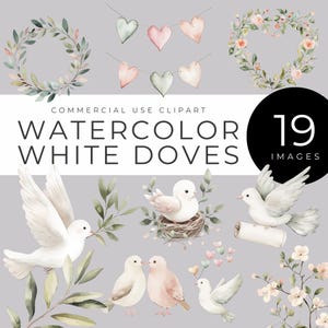 Clipart de pomba branca em aquarela DOWNLOAD INSTANTÂNEO Ilustrações de pássaros pacíficos para casamentos, dia dos namorados, chás de bebê, convites, álbuns de recortes