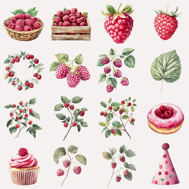 May include: Watercolor illustrations of raspberries in various arrangements, including a basket of raspberries, a crate of raspberries, a raspberry cupcake, a raspberry donut, a raspberry party hat, and raspberry branches with leaves.
