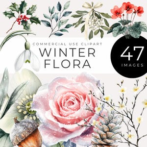 Aquarelle hiver flore Clipart TÉLÉCHARGEMENT IMMÉDIAT Produits botaniques de saison, houx, pommes de pin, branches enneigées, gui, fleurs, PNG numériques
