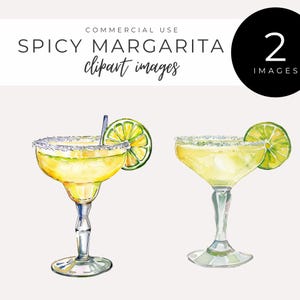 Pittige Margarita Clipart INSTANT DOWNLOAD Aquarel Limoen Alcohol Bar Drankjes, Zoutglas voor Fiesta Decor, Feestuitnodigingen & Barmenu's