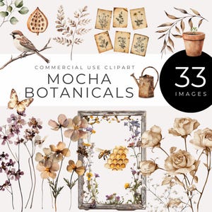 Clipart de acuarela de Mocha Botanicals, descarga digital, flores vintage, hierbas, mariposas, panal, jardín rústico, PNG, suministros para manualidades