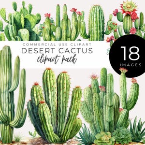 Cactus del desierto en acuarela (descarga instantánea), ilustraciones de cactus, decoración del suroeste, arte botánico, suculentas (imágenes prediseñadas), invitaciones