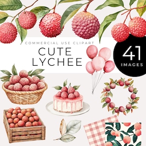 Litschi Clipart, sofortiger Download, niedliches Aquarell Tropische Früchte PNG, asiatischer Markt, rosa ästhetische digitale Kunst, Kawaii exotisches Essen Grafiken