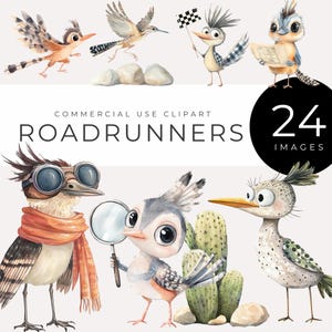 Clipart Roadrunner, téléchargement immédiat, graphiques aquarelle oiseaux du désert, faune sauvage du sud-ouest lunatique PNGs pour travaux manuels, décoration, art numérique