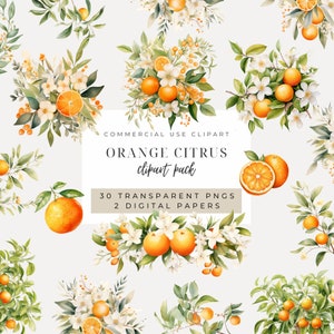 Könnte beinhalten: Ein digitales Clipart-Paket mit 30 transparenten PNGs und 2 digitalen Papieren mit Aquarell-Illustrationen von Orangen, Blüten und Blättern. Der Text "ORANGE CITRUS clipart pack" wird in der Mitte des Bildes angezeigt.