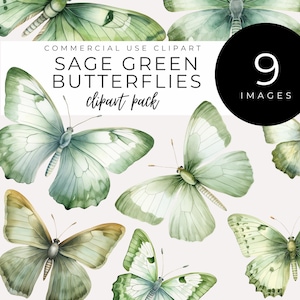 Clipart de borboleta verde-sálvia - DOWNLOAD INSTANTÂNEO - Insetos e insetos em tons pastel, gráficos inspirados na natureza, borboletas elegantes em tons terrosos, criação de cartões