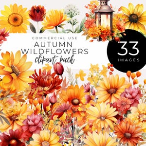 Clipart fleurs sauvages automne TÉLÉCHARGEMENT IMMÉDIAT Aquarelles rustiques fleurs d'automne, Susans aux yeux noirs, échinacées et asters, décoration saisonnière, invitation