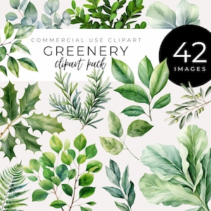 Groen clipartpakket INSTANT DOWNLOAD Varen, eucalyptus, klimop, olijftak, palmbladeren, lommerrijke gebladerte graphics, rustieke decorelementen