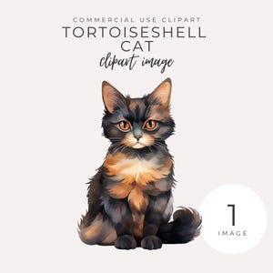 Chat écaille de tortue Png téléchargement immédiat Adorable graphique aquarelle félin, illustration d'animal de compagnie, décoration amusante, invitations à une fête, usage commercial