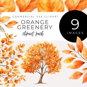 Clipart de folhagens alaranjadas DOWNLOAD INSTANTÂNEO Decoração inspirada na natureza, folhagens e folhas em aquarela, arte com plantas, criação de cartões, scrapbooking, convites