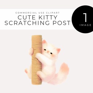 Schattige pluizige kitten op krabpaal clipart INSTANT DOWNLOAD aquarel kat afbeelding voor kinderkamer kunst, ambachten en huisdier-thema inrichting