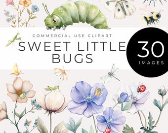 May include: Watercolor clipart set featuring various bugs and flowers. Includes a green caterpillar, butterflies, bees, ants, and ladybugs. The text "Sweet Little Bugs" is displayed above the images, with "30 Images" in a black circle.