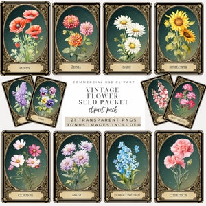 Seed Packet Clipart Sofortiger DOWNLOAD Vintage Blumen Illustrationen, antike Samenpaket Kunst, Retro botanische Grafiken, Cottagecore Designs