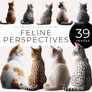 Clipart de chat de l'arrière, téléchargement immédiat, graphiques de silhouette de vue arrière de race féline, albums de coupures, travaux manuels, décoration de chambre d'enfant, invitations, cadeaux