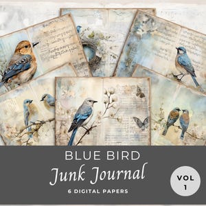 Blue Bird Junk Journal Papers, 6 pagine di diario digitale, effimeri stampabili, uccelli eccentrici, foglio collage 11 x 8,5, forniture per scrapbooking