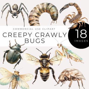Realistische bug clipart instant download aquarel insecten, griezelige kriebels, bij, spin, sprinkhaan, educatieve afbeeldingen, klasdecor