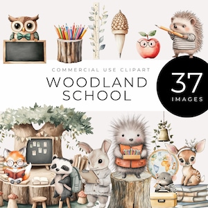 Watercolor Woodland School Clipart, Digital Download, Forest Animal Teacher & Student PNGs, Cute Back to School Graphics, Classroom Decor