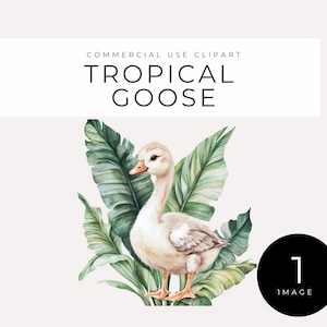 Oie tropicale Clipart PNG, téléchargement numérique, oiseau de la jungle aquarelle avec des feuilles, art animalier mignon été aviaire, fond Transparent