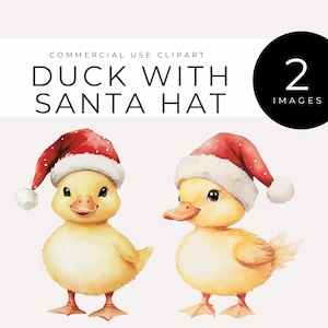 Canard avec des cliparts bonnet de Noel, téléchargement immédiat, Images aquarelles de sauvagine de Noël, animal de la ferme festif pour travaux manuels des Fêtes et faire-part