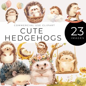 Clipart di riccio DOWNLOAD IMMEDIATO Acquerello di graziosi animali del bosco, decorazioni per cameretta, baby shower, inviti per feste di compleanno, PNG digitale