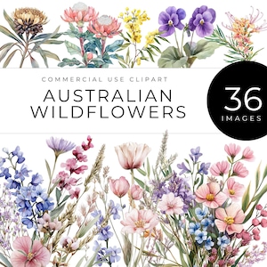 Australian Wildflower Clipart, Instant Download, Watercolor Native Flowers, Eucalyptus, Wattle, Protea, Wedding Bouquets, Botanical Florals