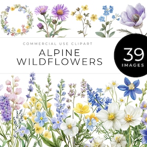 Clipart fleurs sauvages alpines, téléchargement immédiat, aquarelles de fleurs de montagne, edelweiss, coquelicots, couronnes et bouquets botaniques, fleurs florales