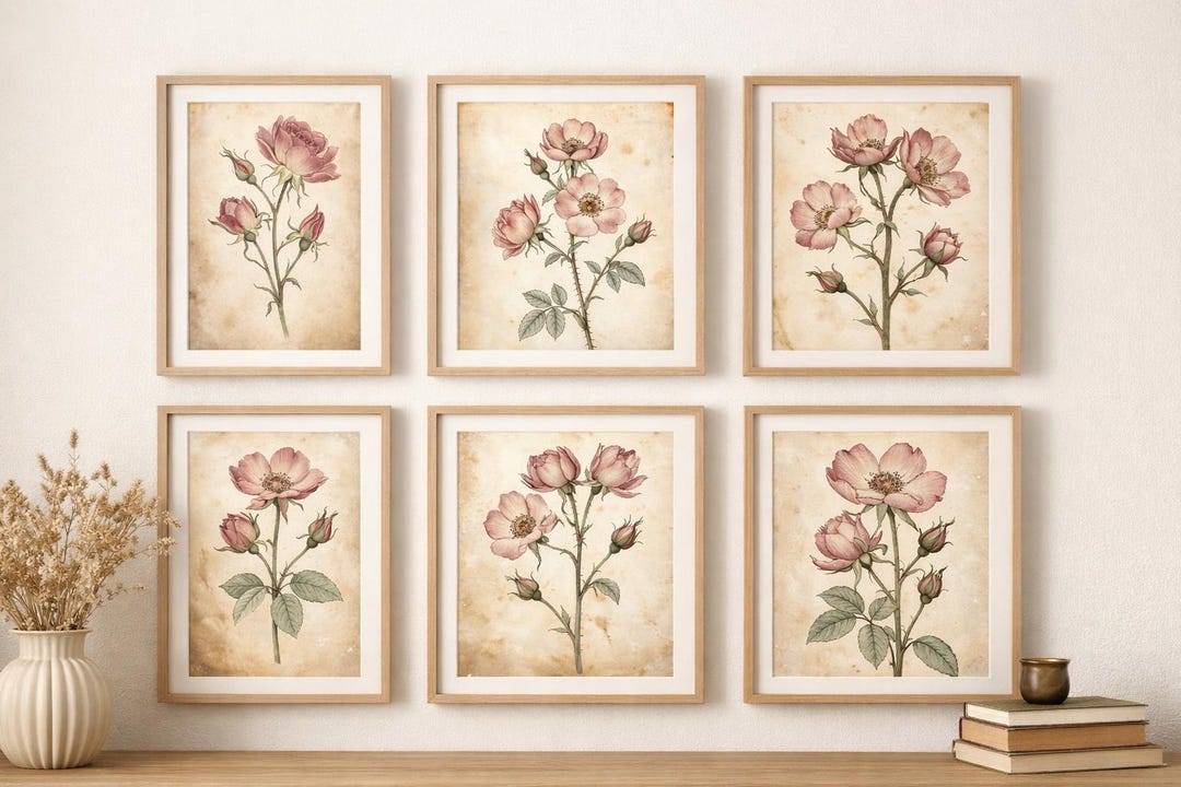 Vintage Wild Rose Botanical Print Set of 6, Antique Floral Wall Art ...