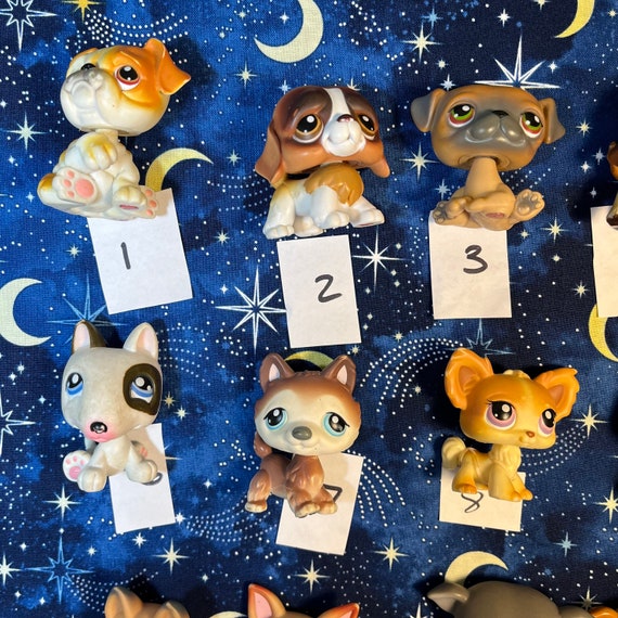 LPS リトルペットショップ フィギュア 自分で選んでペットを選 LPS リトルペットショップ フィギュア 自分で選んでペットを選