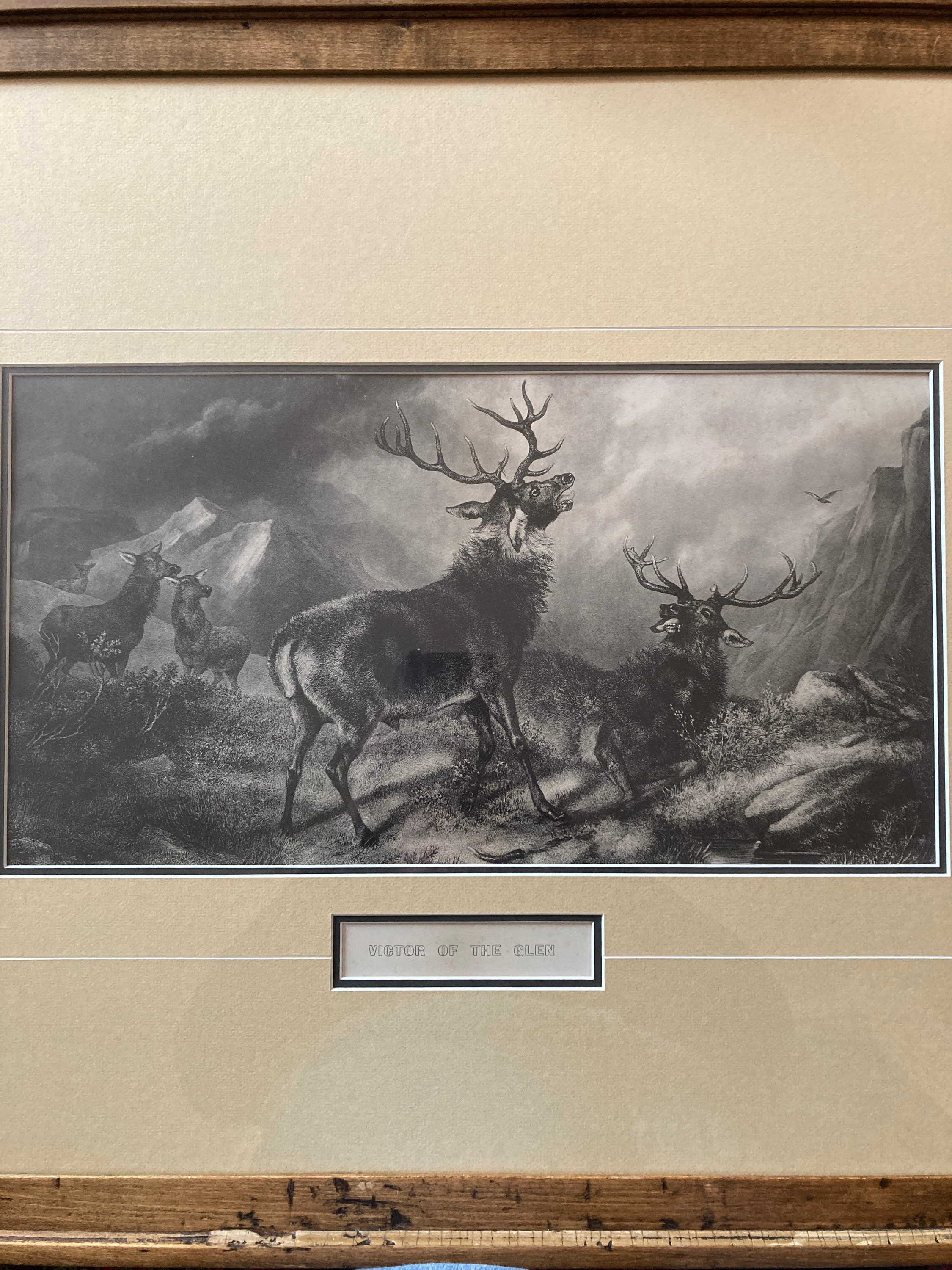 Victor of the Glen 1868 Sir Edwin Henry Landseer (1802-1873