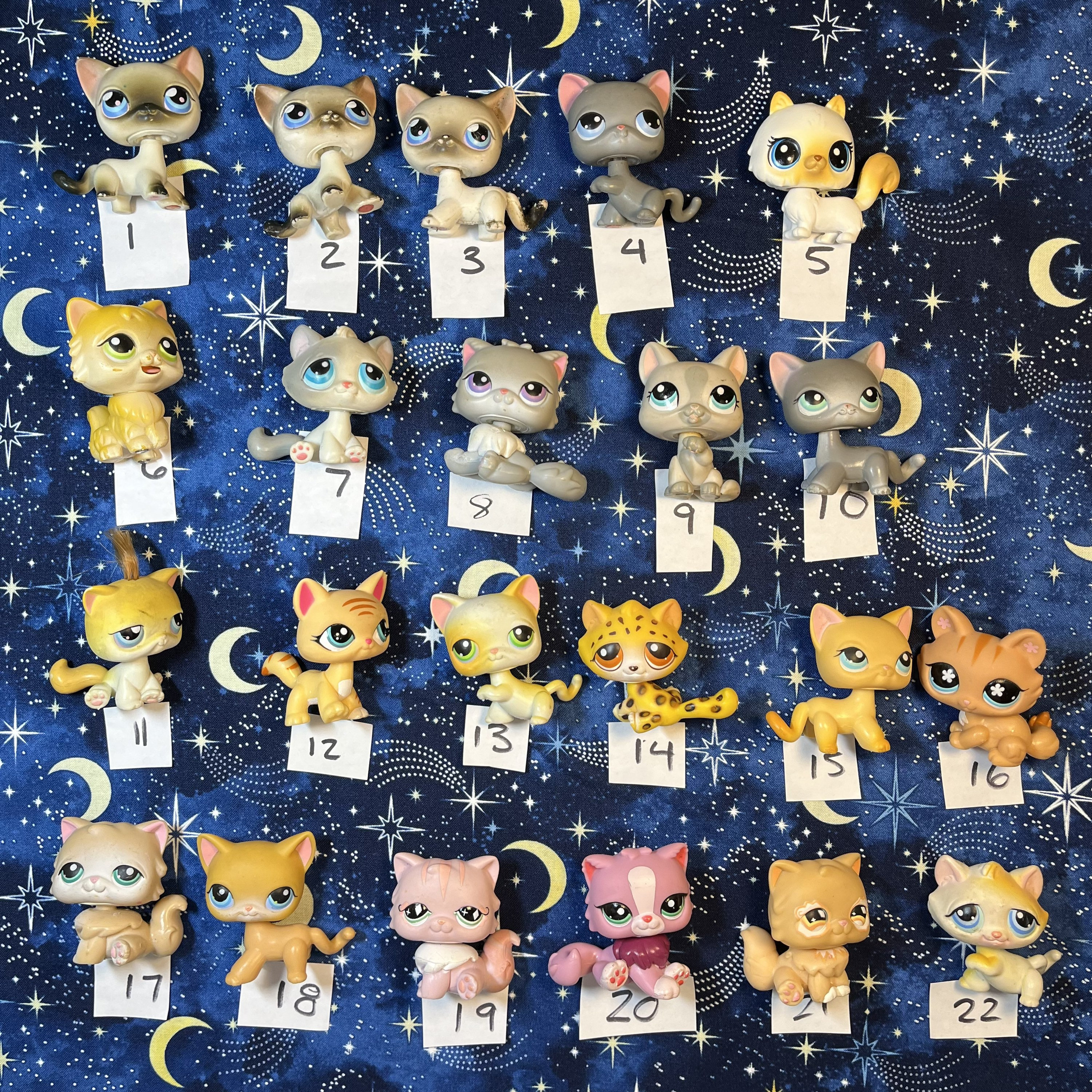 Littlest Pet Shop HASBRO - Chat Maine Coon - LPS MINI DECO - Authentique