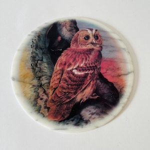 May include: A round, white marble coaster with a colorful image of an owl perched on a branch. The owl has brown and red feathers, yellow eyes, and a white breast.