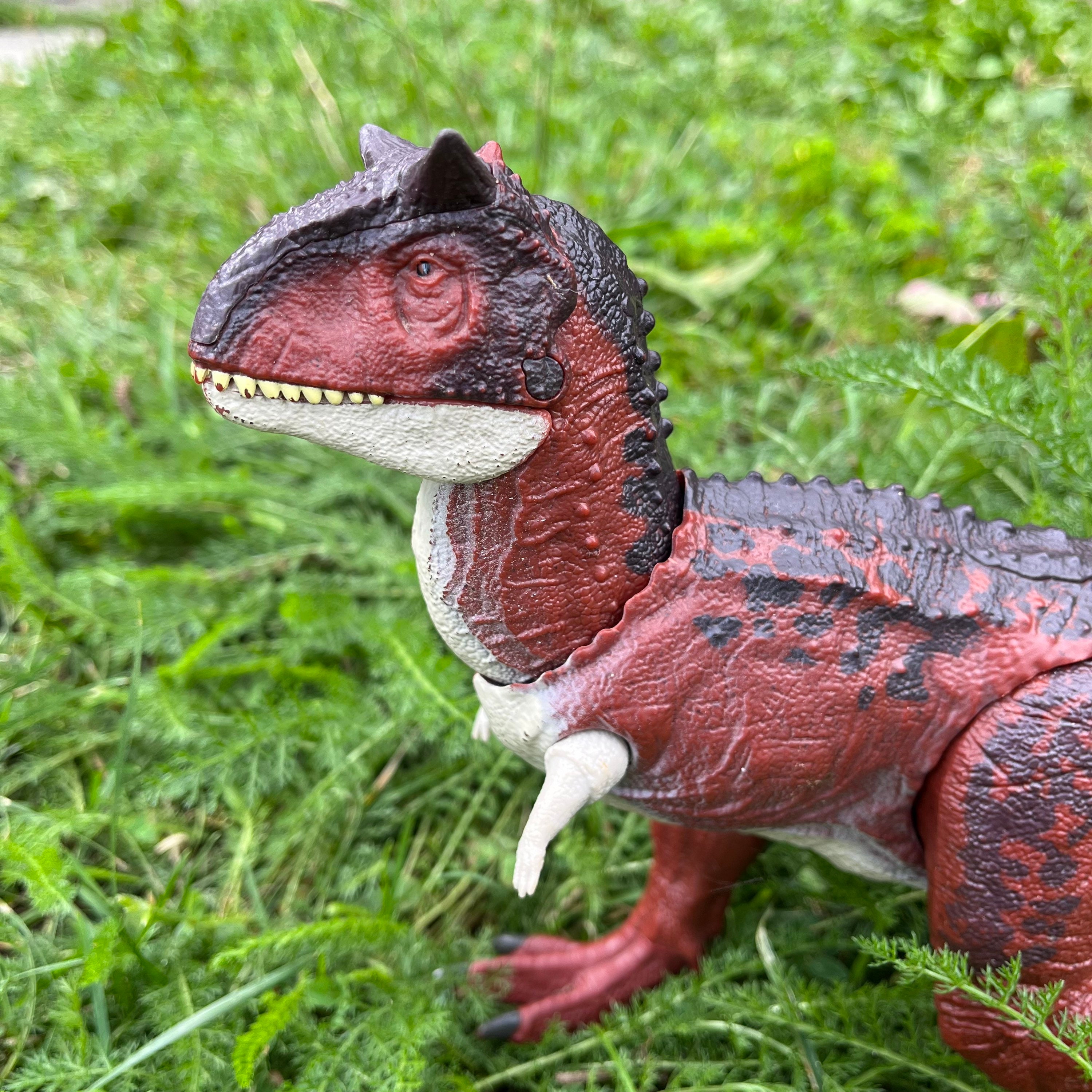 Jurassic World Carnotaurus Toro, Grande figurine articulée de dinosaure de  40cm d'envergure avec mouvement de tête, Jouet pour enfant, GNL07 :  : Jeux et Jouets