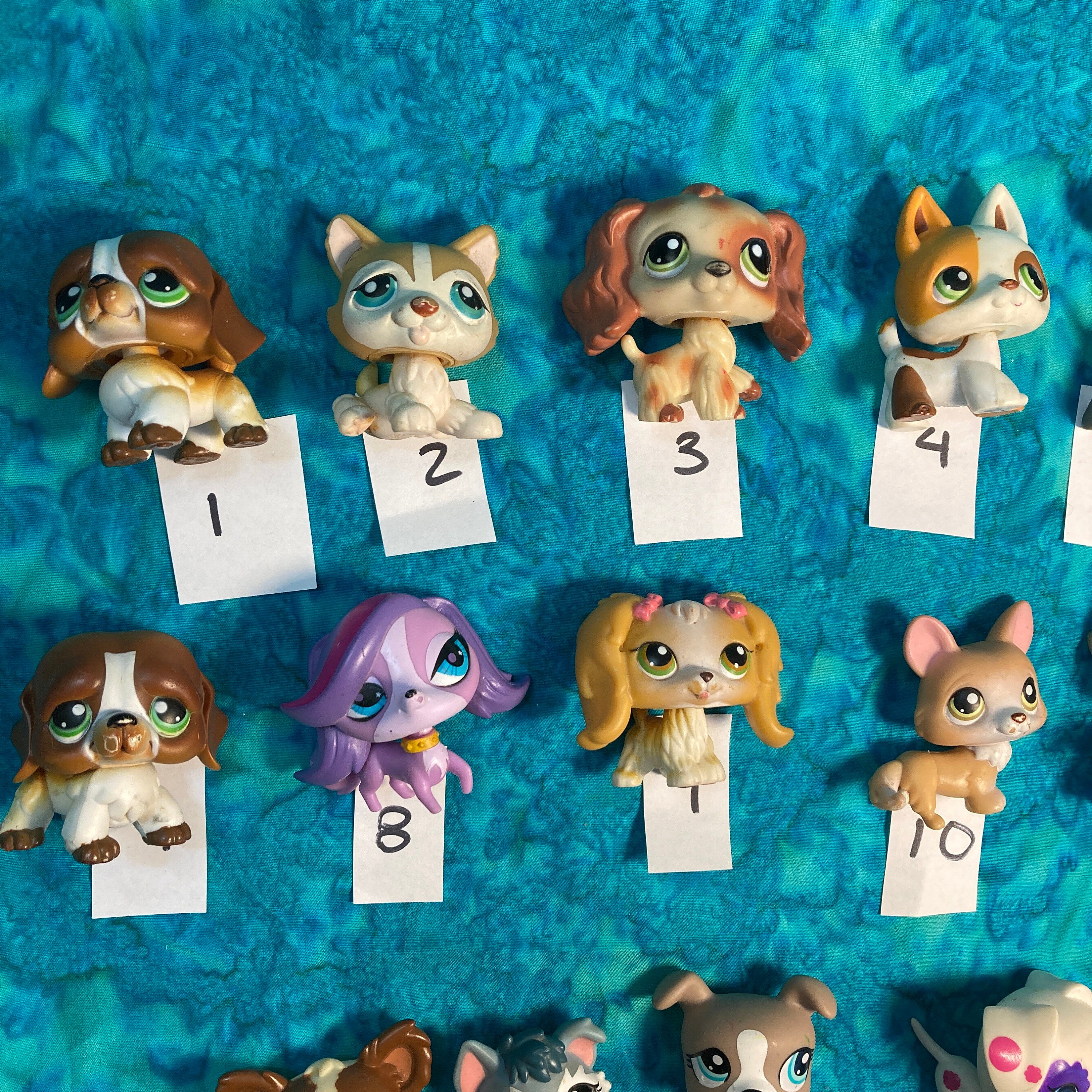 Littlest Pet Shop Pets On the Go Series 1 Seal with Catamaran フィギュア 人形 Littlest Pet Shop Pairs Series 2