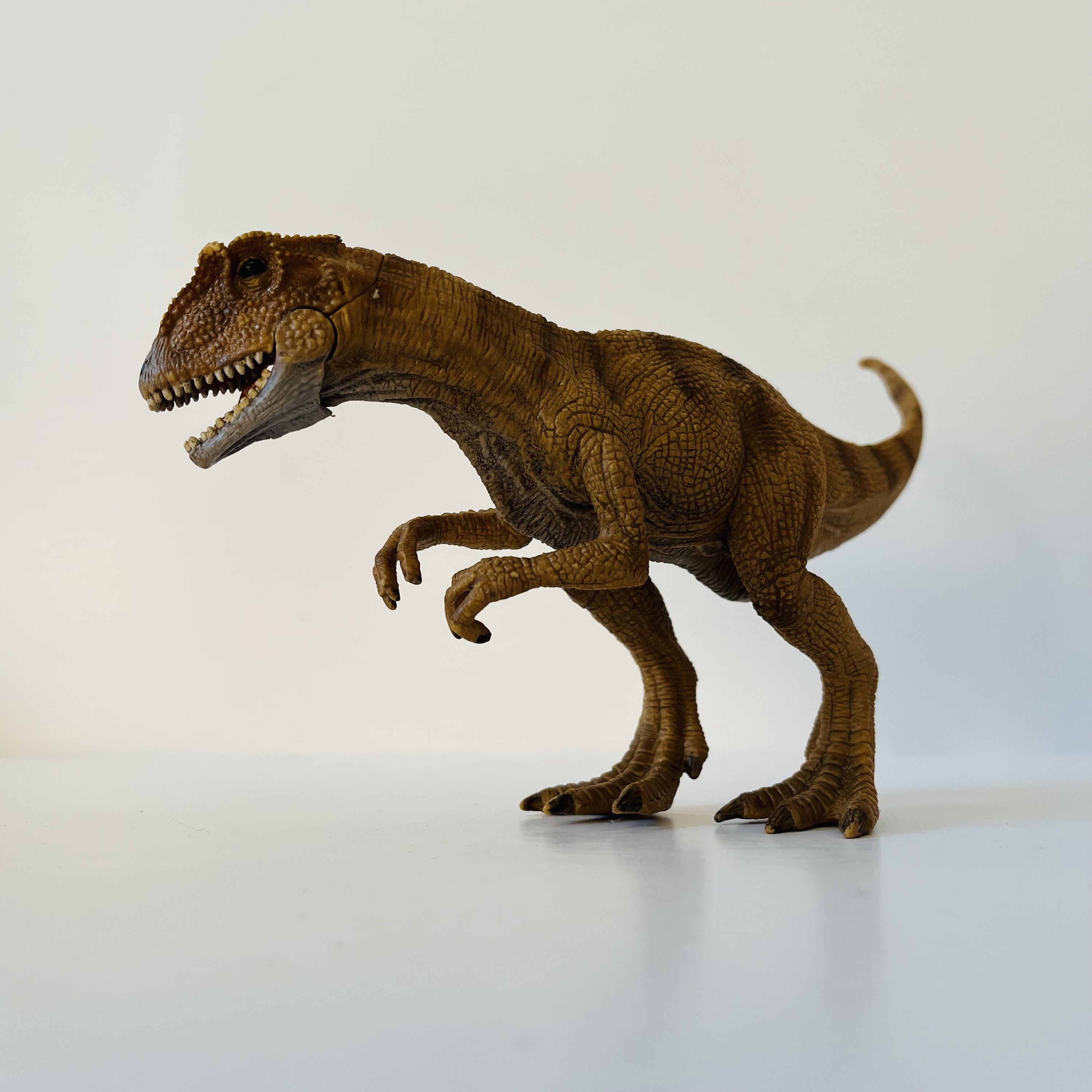 Schleich allosaurus sale