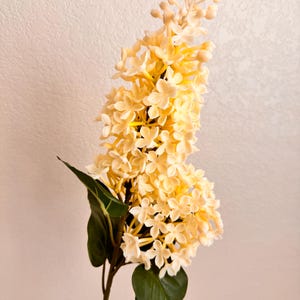A Sprig of White Lilac