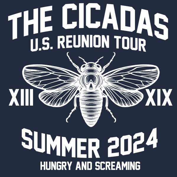 The Cicadas US Reunion Tour 2024