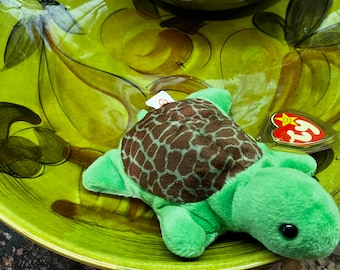 This is Speedy the turtle, perhaps the oldest Beanie. Take a look at those photos!