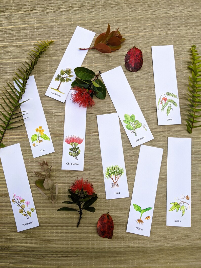 Native Hawaiian Plants in Watercolor Bookmarks - Etsy