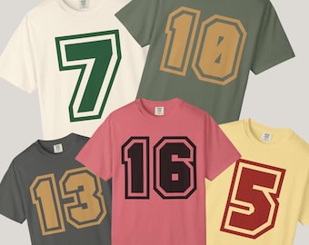 Camiseta de fútbol con colores cómodos, camiseta con número personalizado, camiseta con espíritu de equipo para el día del partido, regalo personalizado para fanáticos del deporte.