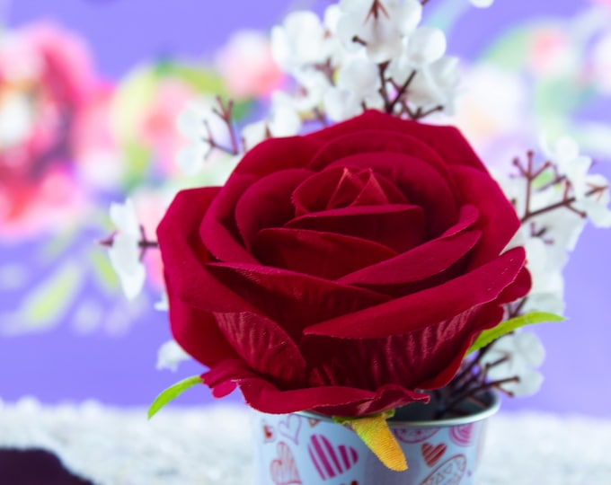 Romantic Valentine's Day Red Rose Arrangement in Heart-Themed Tin | Perfect Gift of Love