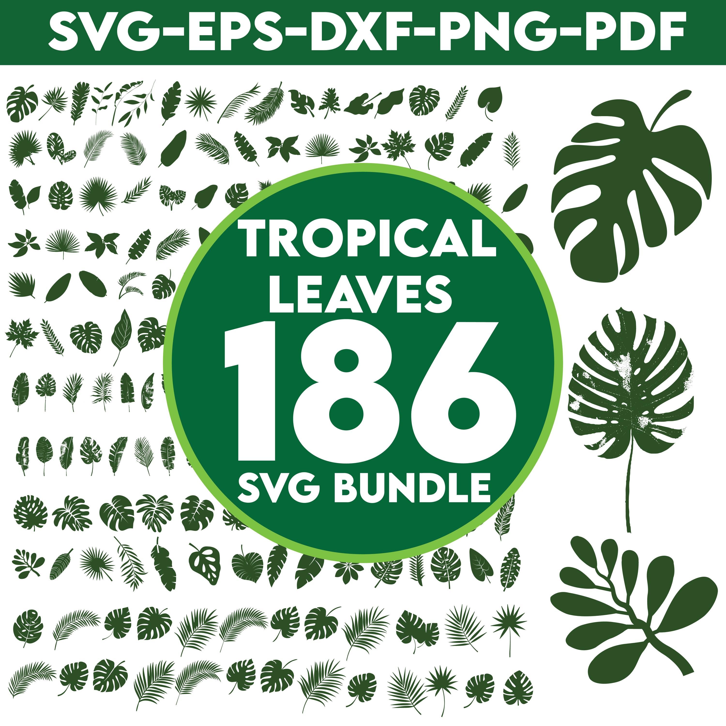 Tropical Leaves Svg , Monstera Leaf Svg Clipart , Commercial Use Svg ...