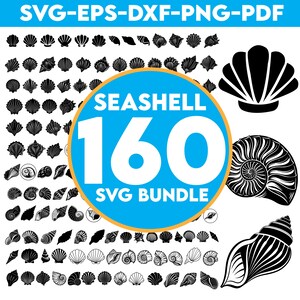 May include: A collection of 160 seashell SVG designs in black and white. The image includes various shell illustrations and the text "SEASHELL 160 SVG BUNDLE" in a blue circle, along with file type indicators.